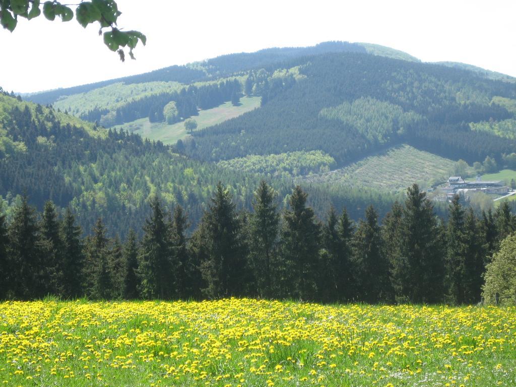 Ferienwohnung Inge Steinruecken Winterberg Buitenkant foto