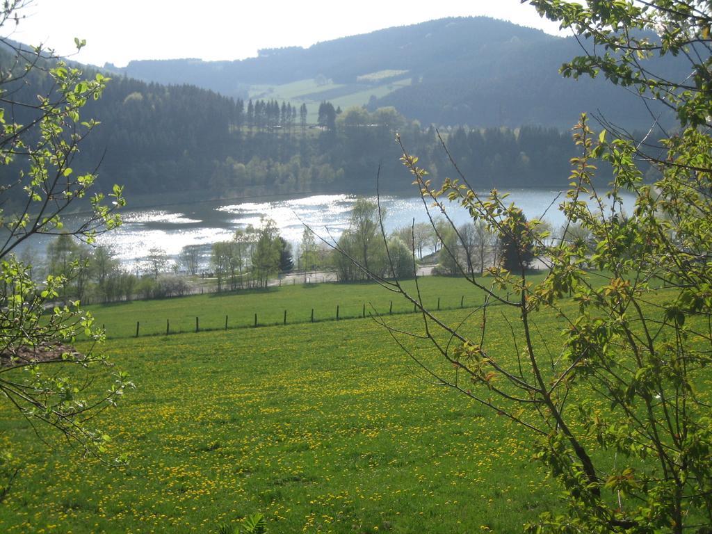Ferienwohnung Inge Steinruecken Winterberg Buitenkant foto